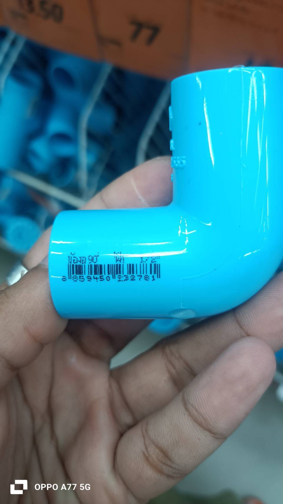 137772.jpg