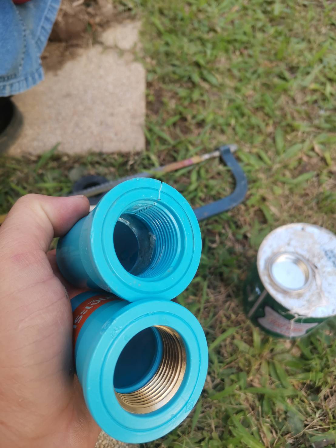 310958.jpg